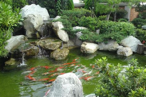 庭院魚池